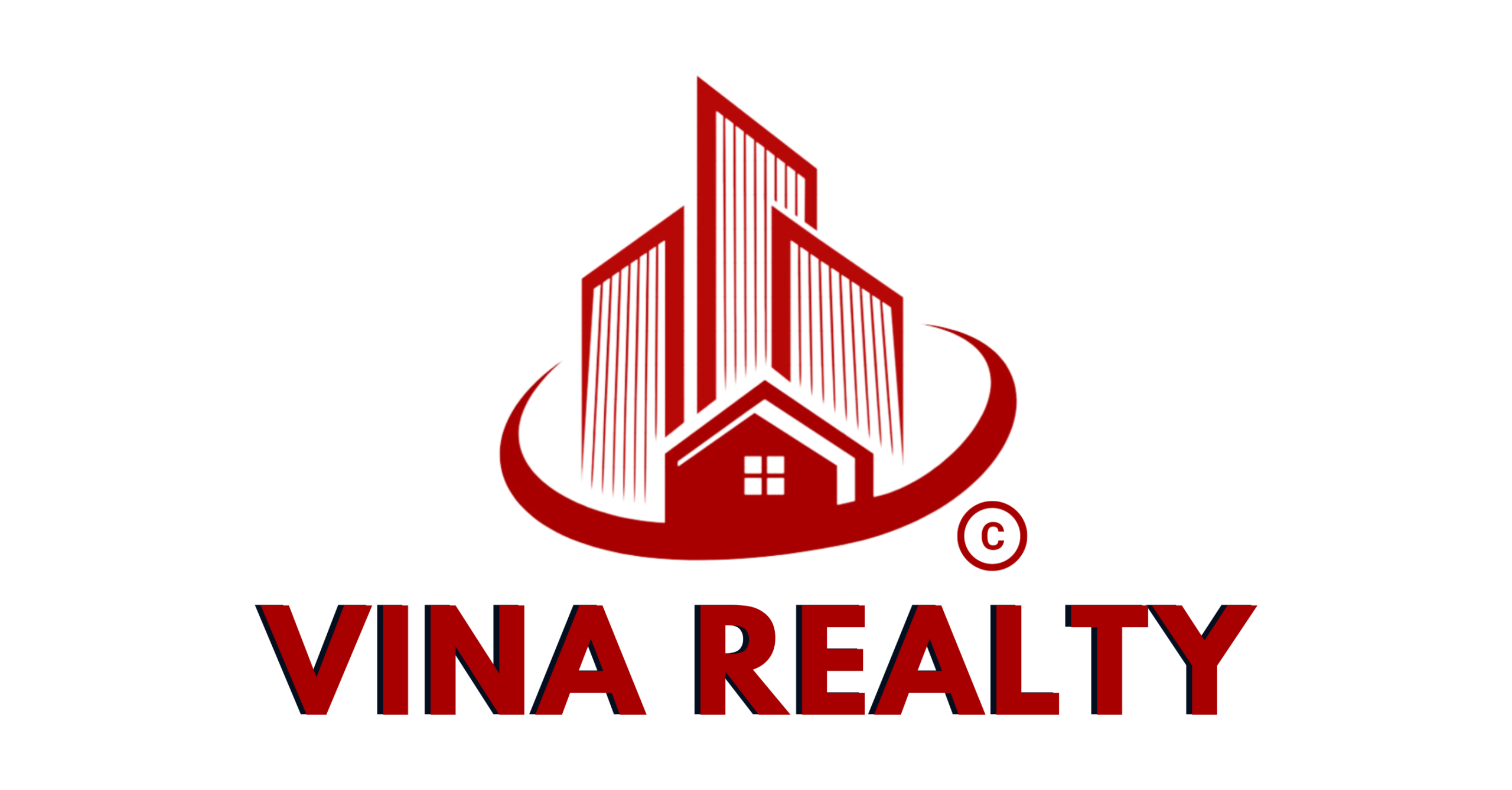 Logo Vina Realty ngang